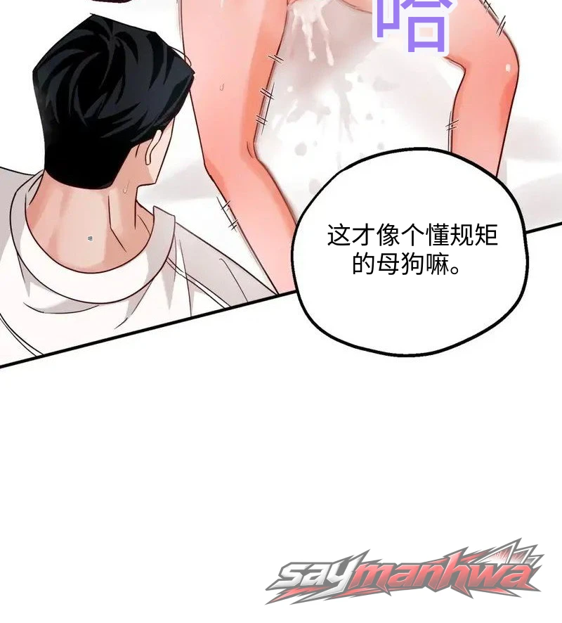 双重风味的调教 章节 8 page 11