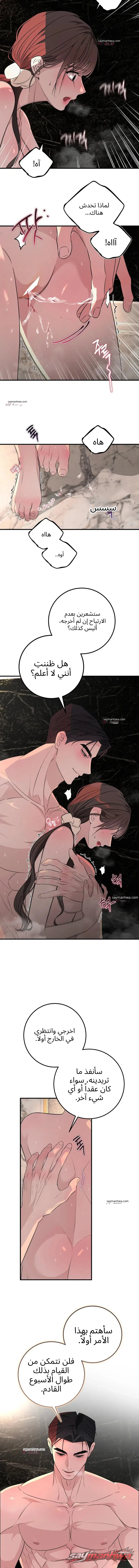فخ الحمل الفصل 12 page 7