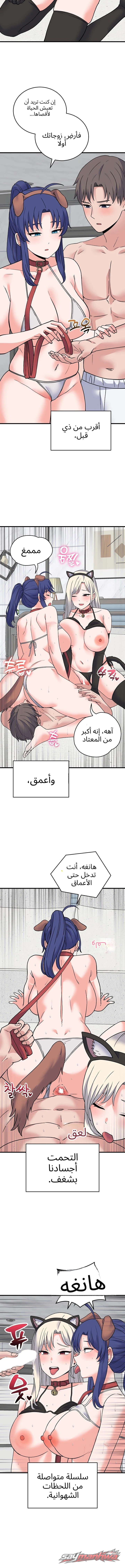 From Pauper to Prince الفصل 77 page 11