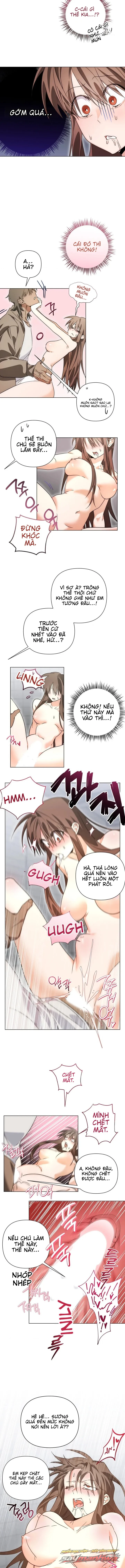 Thế Giới Thôi Miên Ngẫu Nhiên Chương 3 page 6